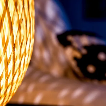 Daire Au Fil De L Eau Albi